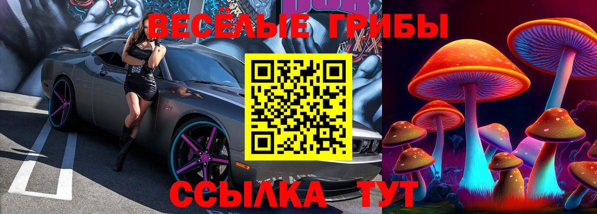 Галлюциногенные грибы мицелий Сухой Лог