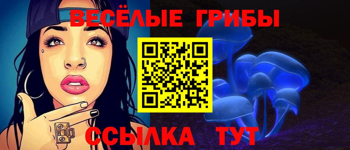 Сухой Лог  купить наркоту  Вход с VPN  Псилоцибиновые грибы Psilocybe 